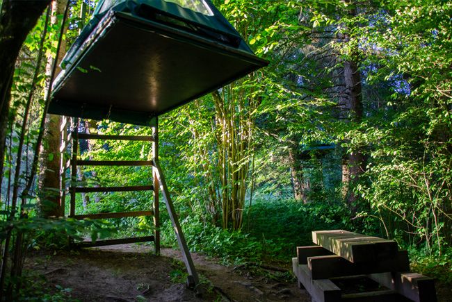 Bivouac dans les arbres et sa place pour manger, table et bancs en bois